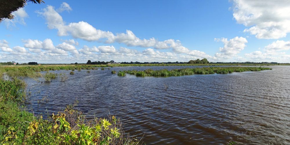 NP De Alde Feanen